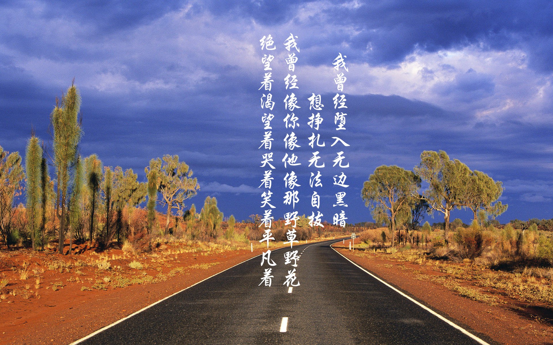 蓝衣军团重铸荣光，2026世界杯D组焦点战，卢卡库主宰舞台，意大利击碎挪威童话